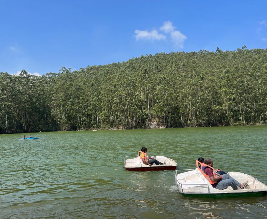 Mattupetty Dam img