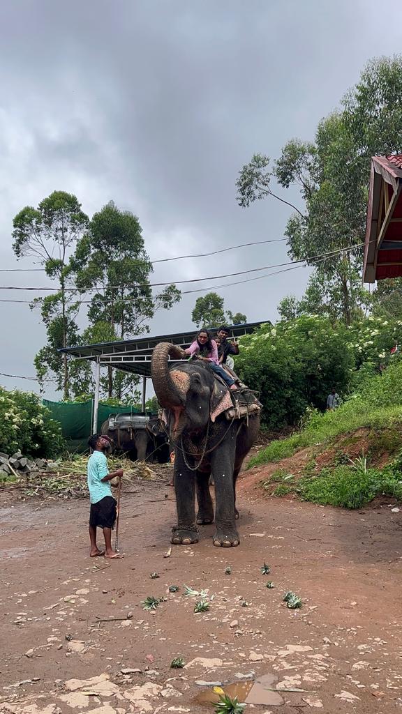 Elephant Safari img