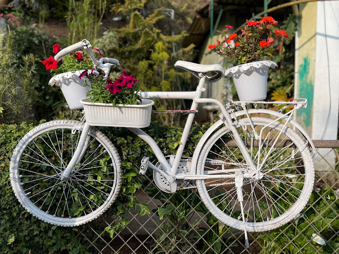 flower-garden