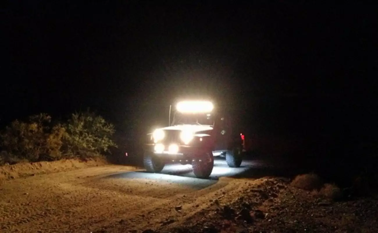 night safari